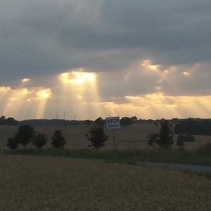 embracelife-croppedbanner
